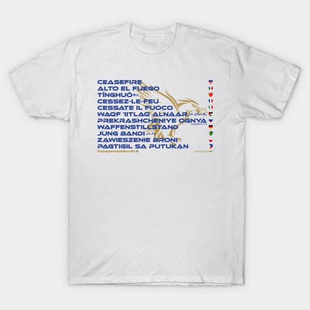 CEASEFIRE: Say ¿Qué? Top Ten Spoken (Capital District NY) (Falcons) T-Shirt by Village Values